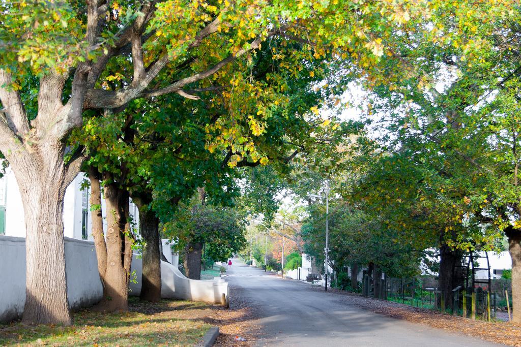 Babette Bed And Breakfast Swellendam Eksteriør bilde