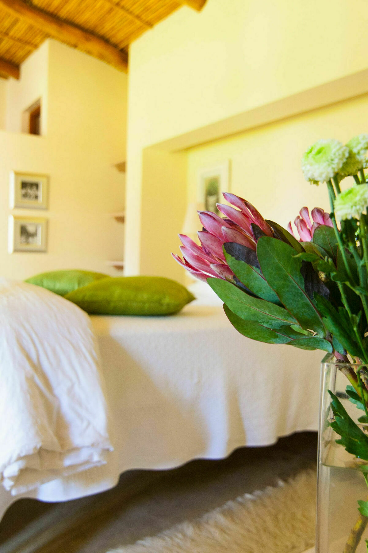 Babette Bed And Breakfast Swellendam Eksteriør bilde